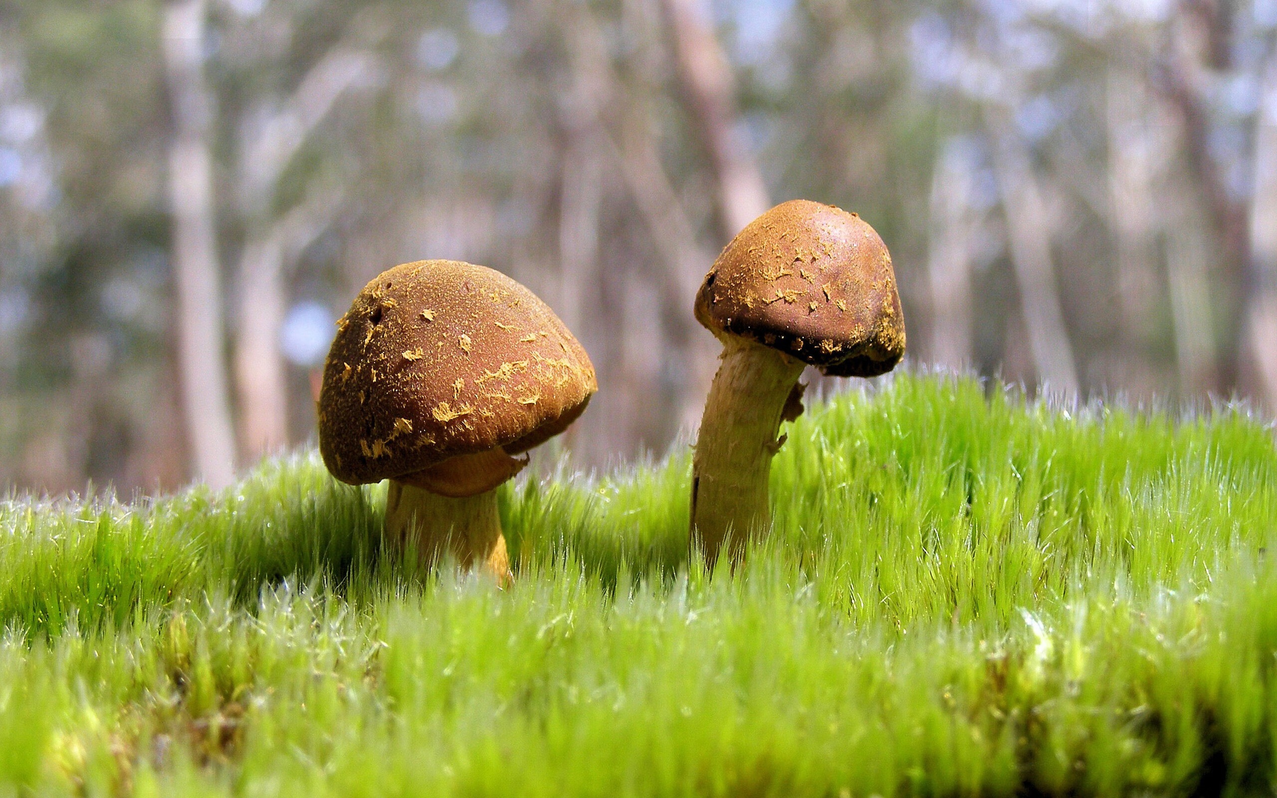 爱游戏官方-_各国运动员积分榜最新排名，谁会笑到最后？_，各国运动员收入