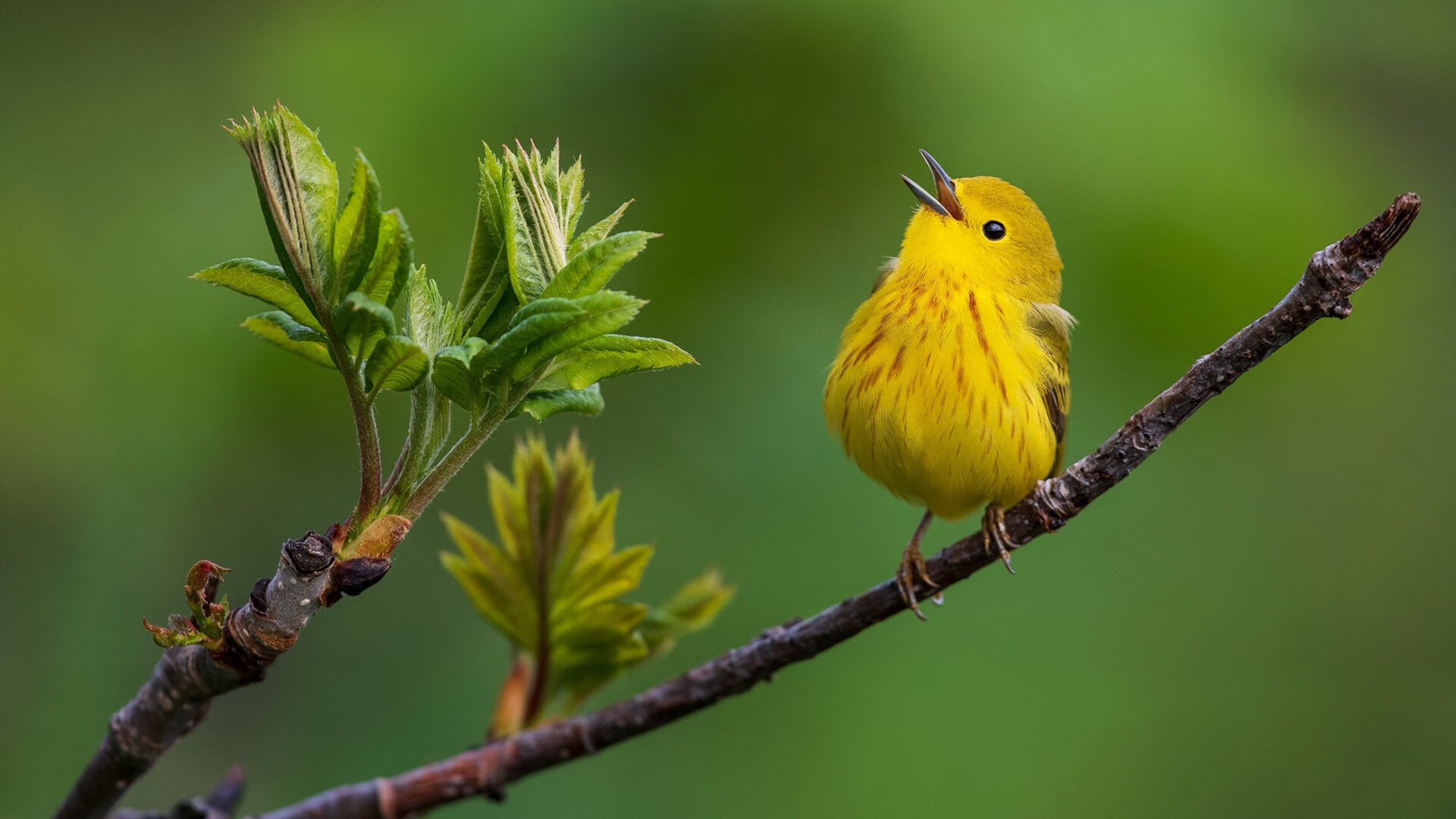 _新赛季展望：选手目标与期待热度升高_，新赛季rw队员