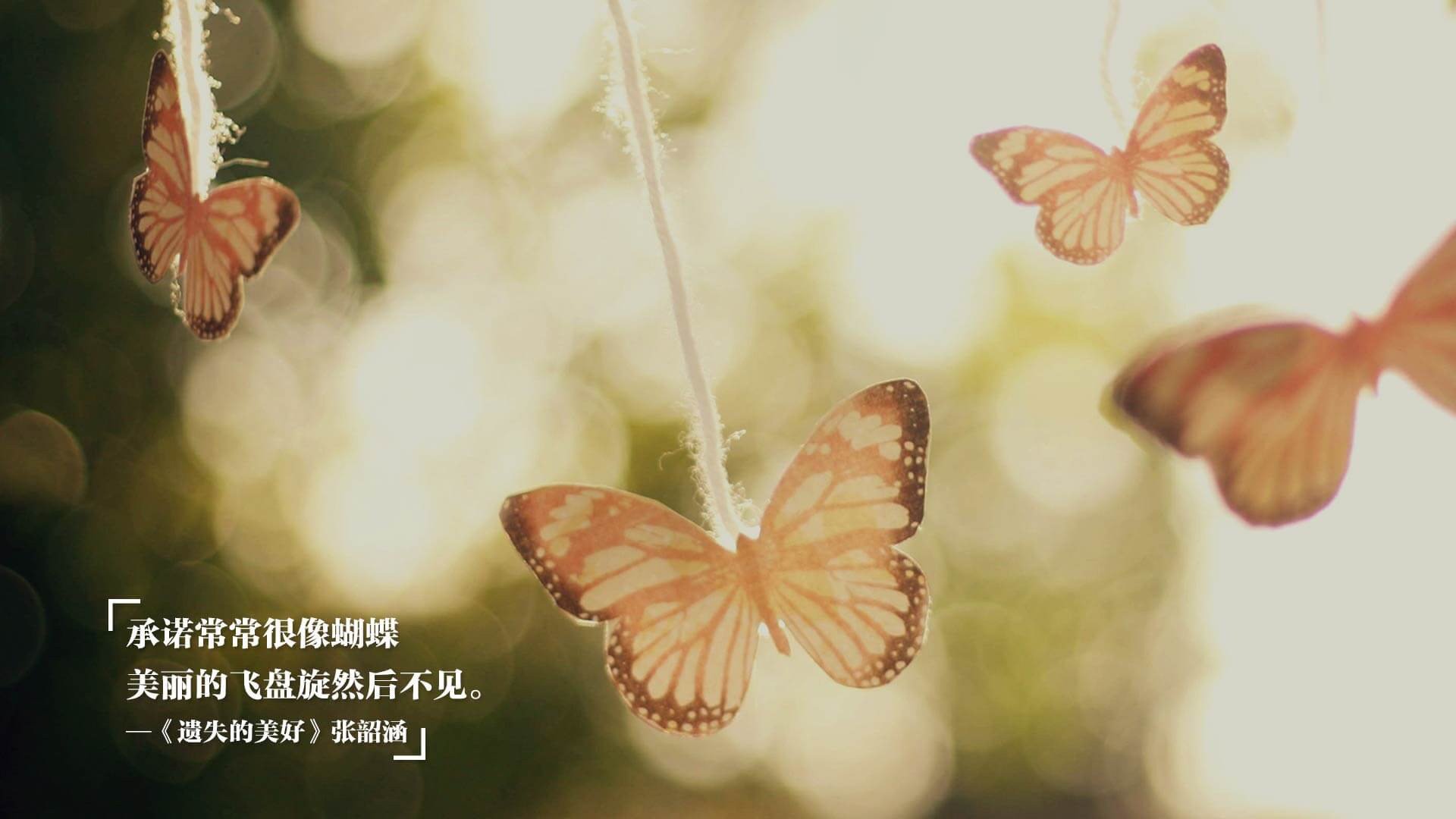 “中国篮之梦”青少年系列公益展在全国巡展，弘扬体育精神，2021全国青少年篮球邀请赛