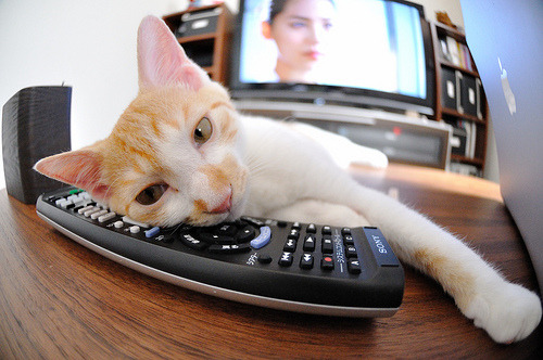 中国男篮海外集训开启,争夺国际赛场佳绩,中国男篮晒集训合影