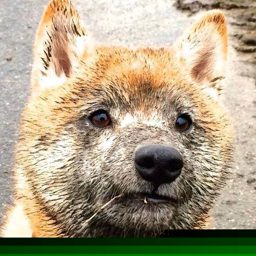 比赛精彩瞬间：封盖、投篮、抢断精彩集锦！，篮球封盖