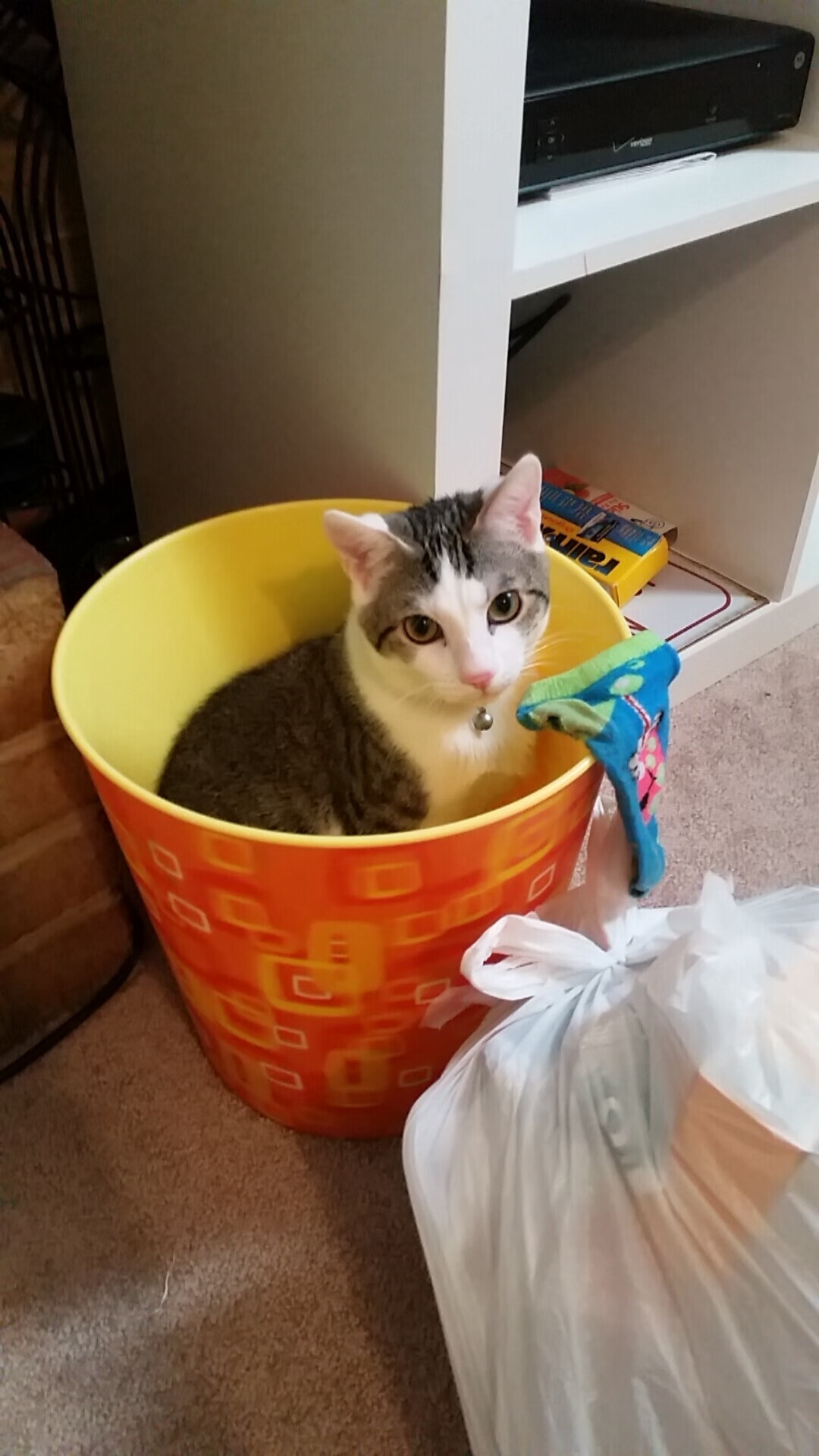 经典赛事回顾：中超历史上的精彩战役，中超历年联赛