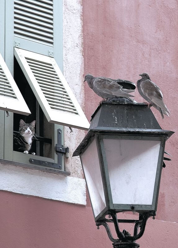 《湖人防守端表现不佳，需加强防守策略》，湖人防守不错