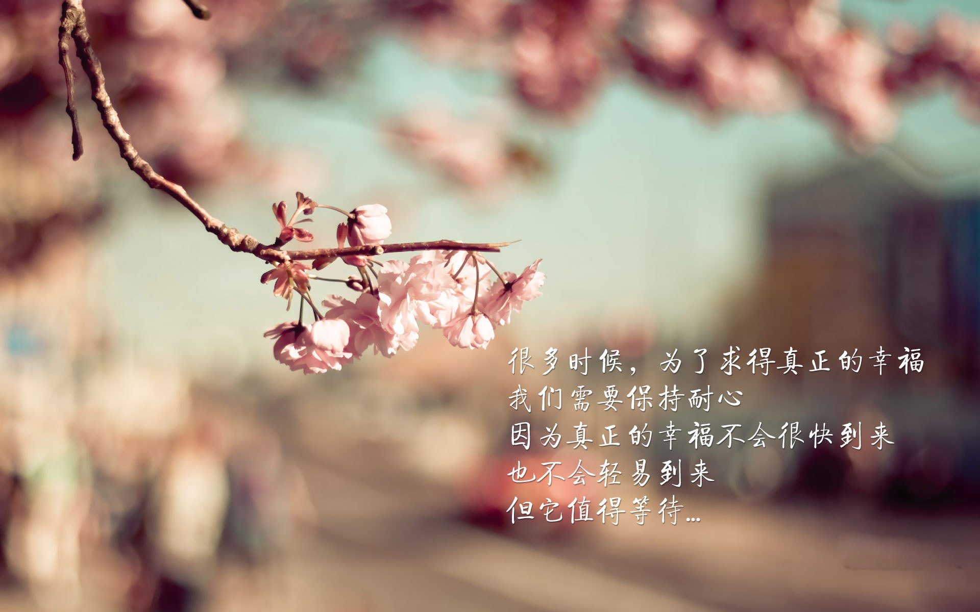 北京首钢新赛季表现稳步提升，北京首钢今年战绩