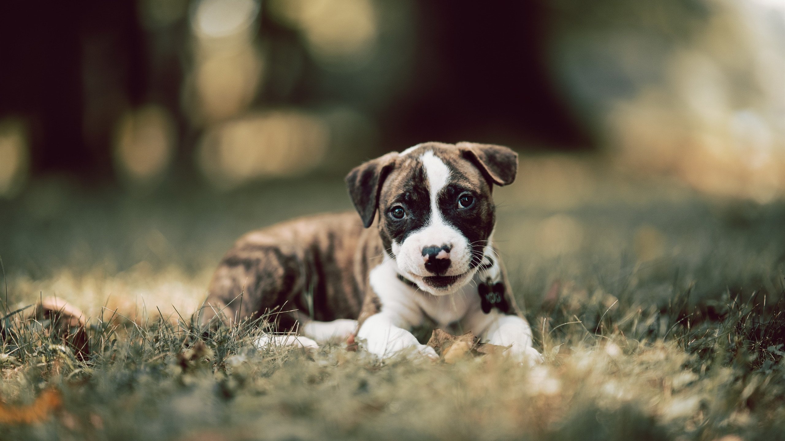 高水平足球赛事频繁举办,提升城市国际影响力,足球高水平运动员全国统测项目