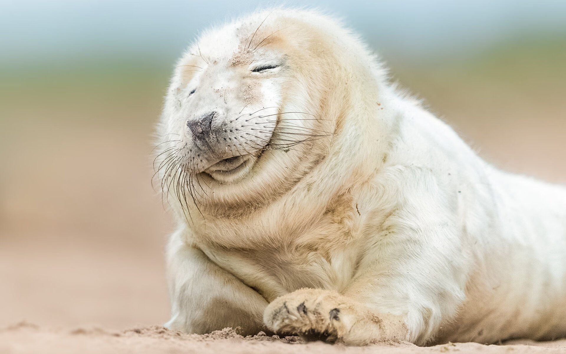 KPL春季季后赛开战，顶尖战队正面交锋，kpl2020春季赛季后赛对阵