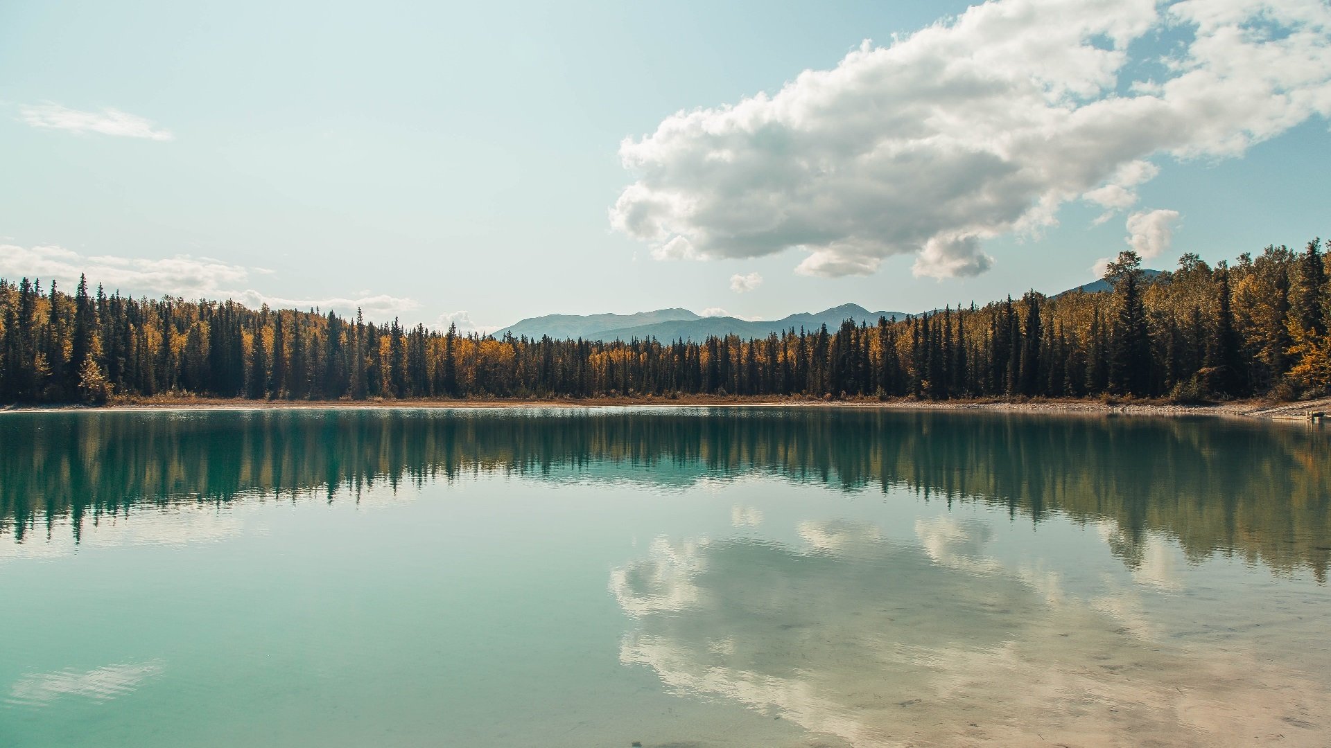 世界击剑锦标赛中国女重团体摘金，决赛击败法国，击剑世锦赛2020