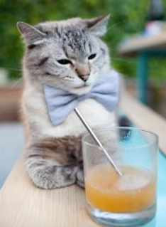 乌拉圭男足在巴黎奥运会比赛中以4-0战胜美国,乌拉圭足球奥运会