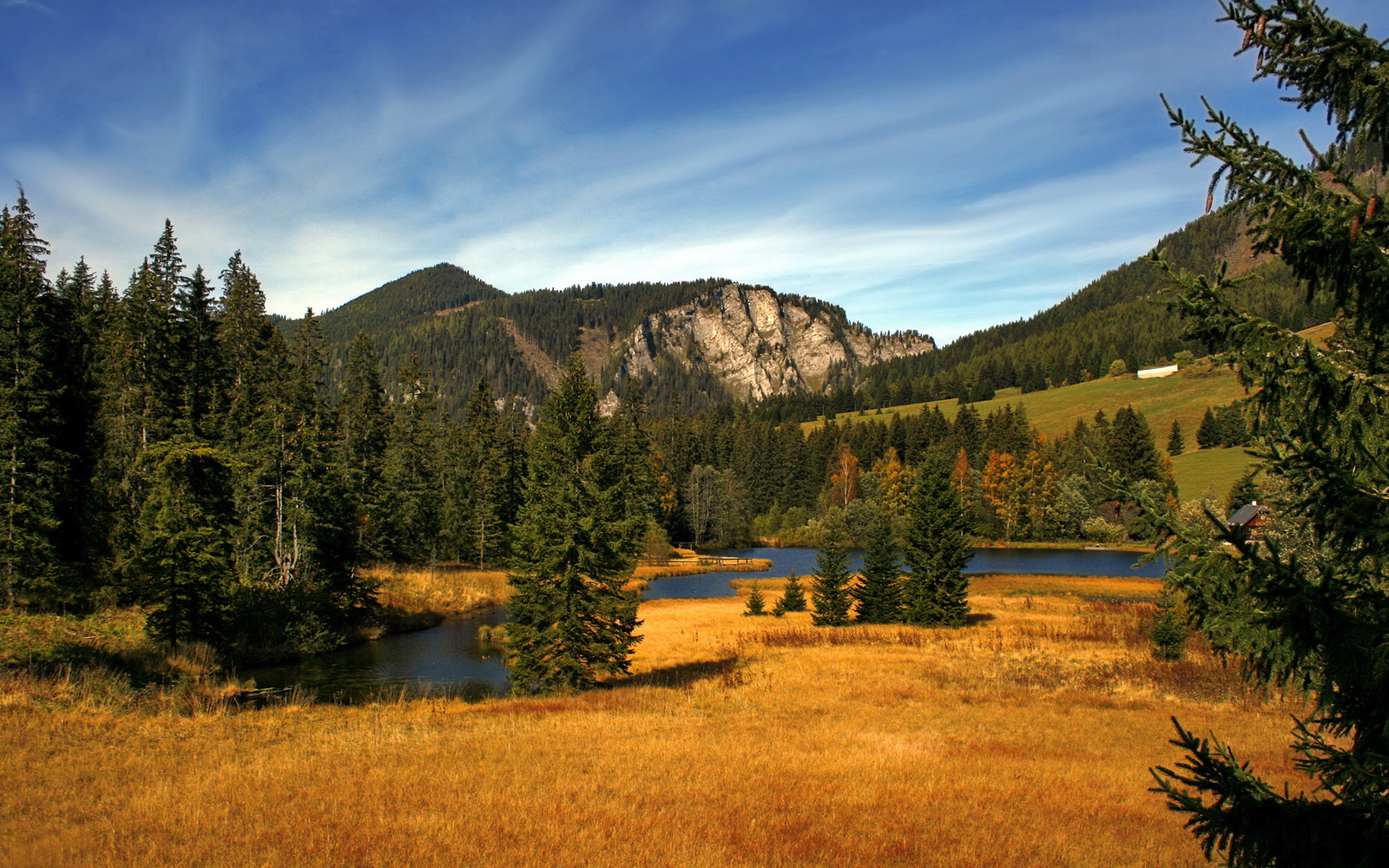 爱游戏中国官方登录入口网站-瓦伦西亚主场1-1战平西班牙人，比赛节奏缓慢，瓦伦西亚队主场