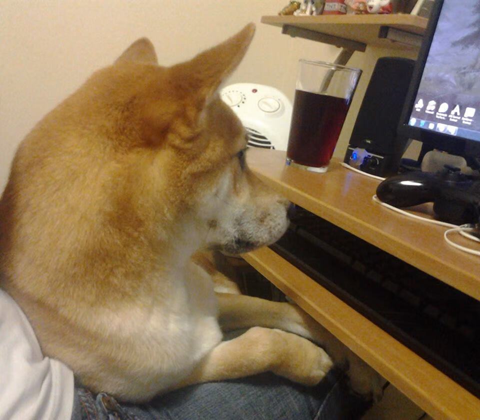 南安普顿客场逼平阿斯顿维拉,保持不败,arwu南安普顿