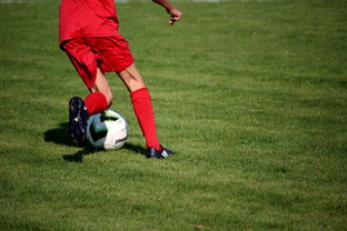 爱游戏中国官方网站平台-中国篮球青年运动员选拔体系研究，中国篮球国家青年队选拔方式