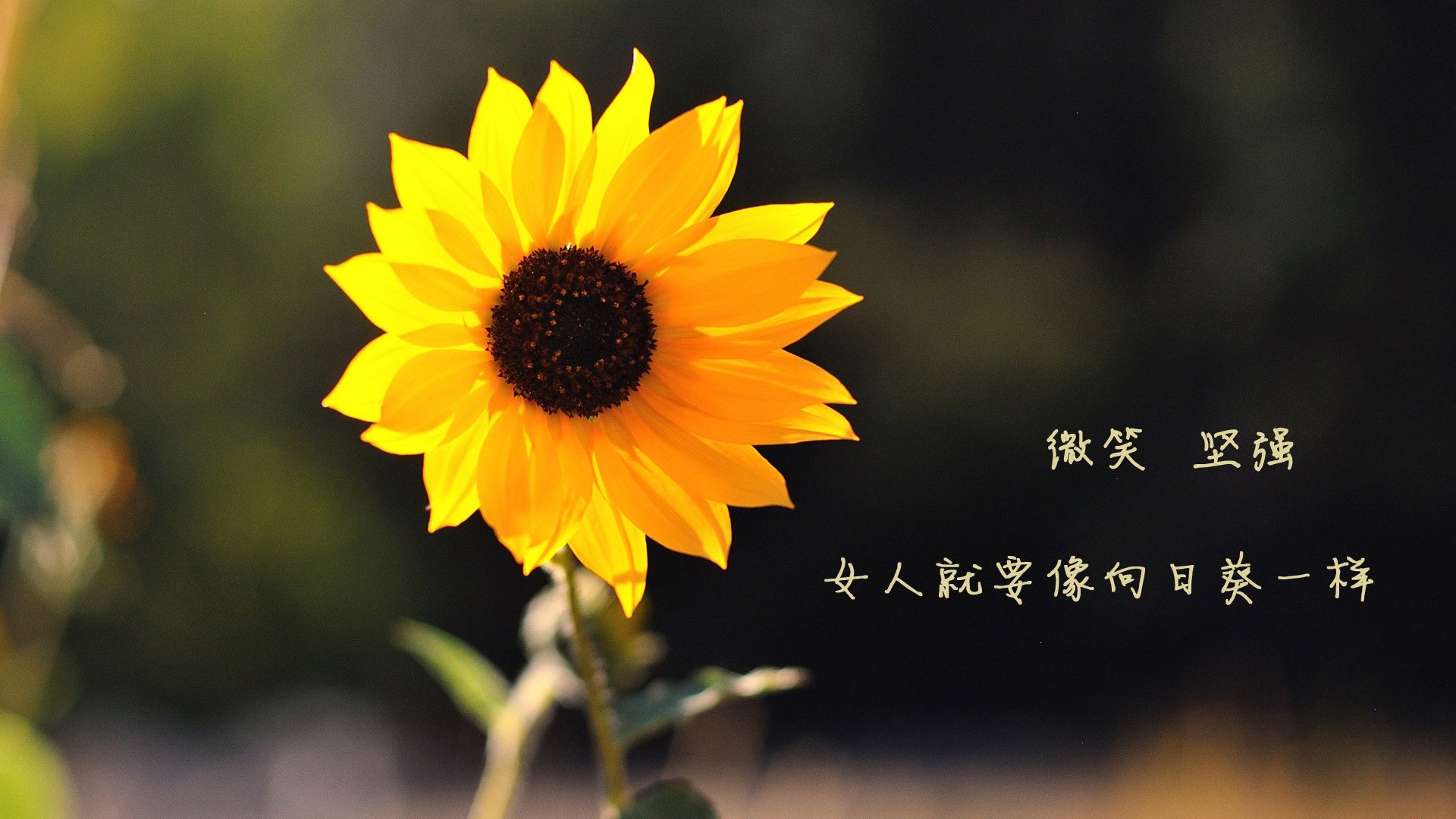 新闻中心揭晓年度创新奖项，创新成果获奖新闻