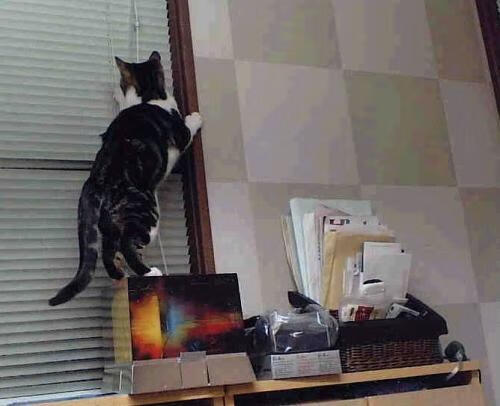 爱游戏体育（AYX）官方APP下载-开拓者主教练：防守是球队最大短板，开拓者主教练上场