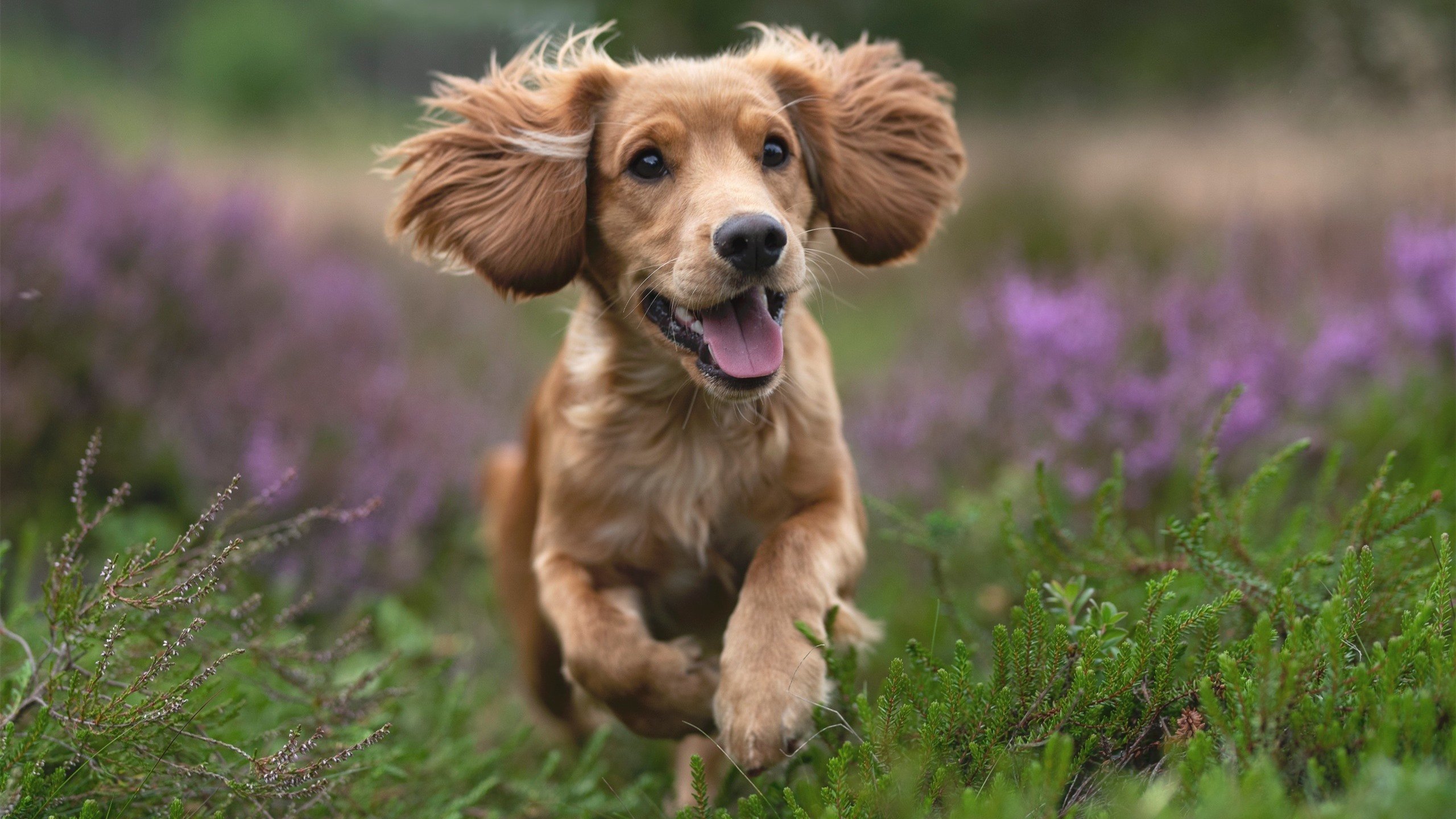 青少年体育竞赛规则完善，青少年体育赛事报名平台