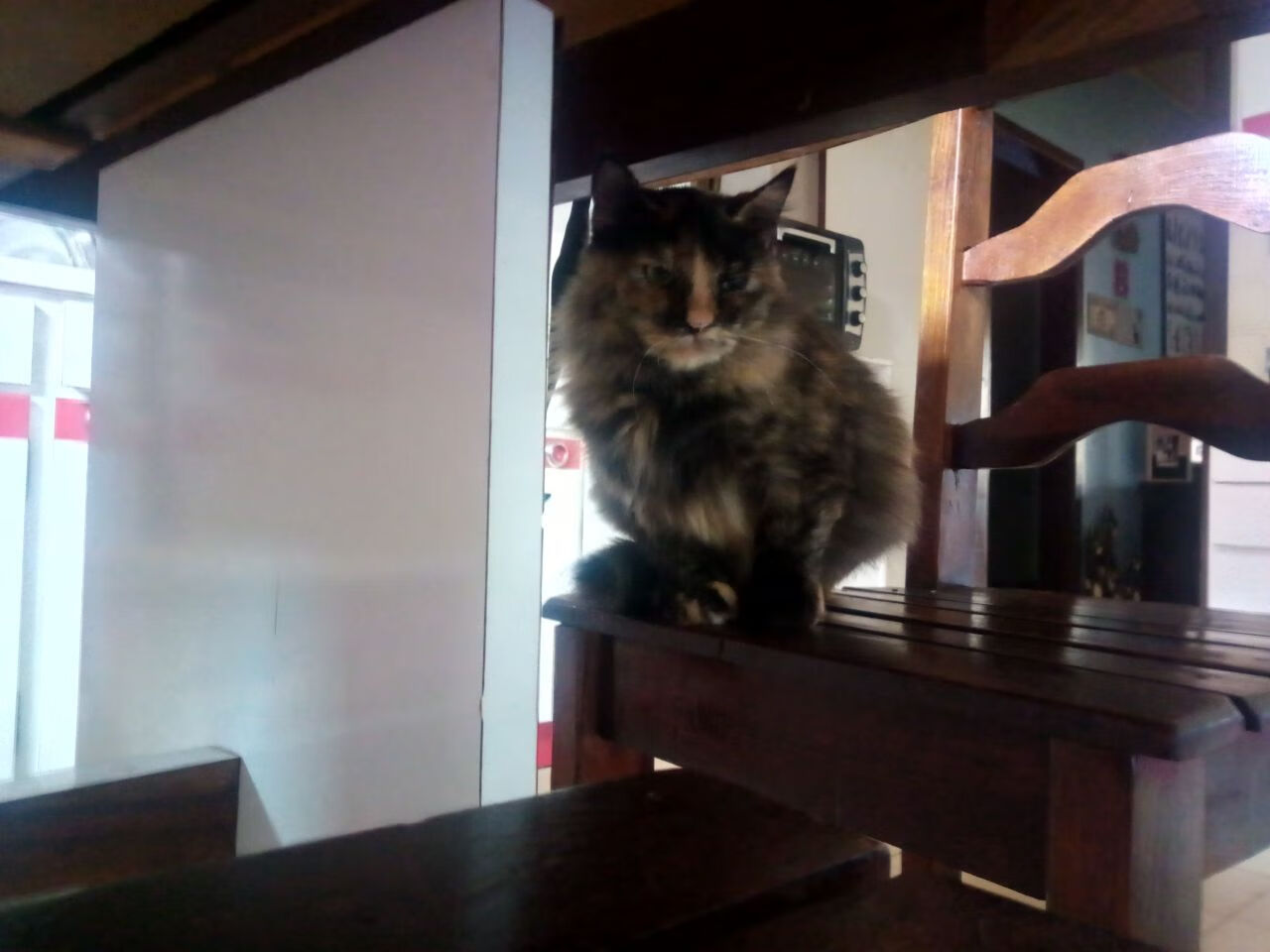 意外拳击称重仪器故障引争执，拳击手称重仪式视频