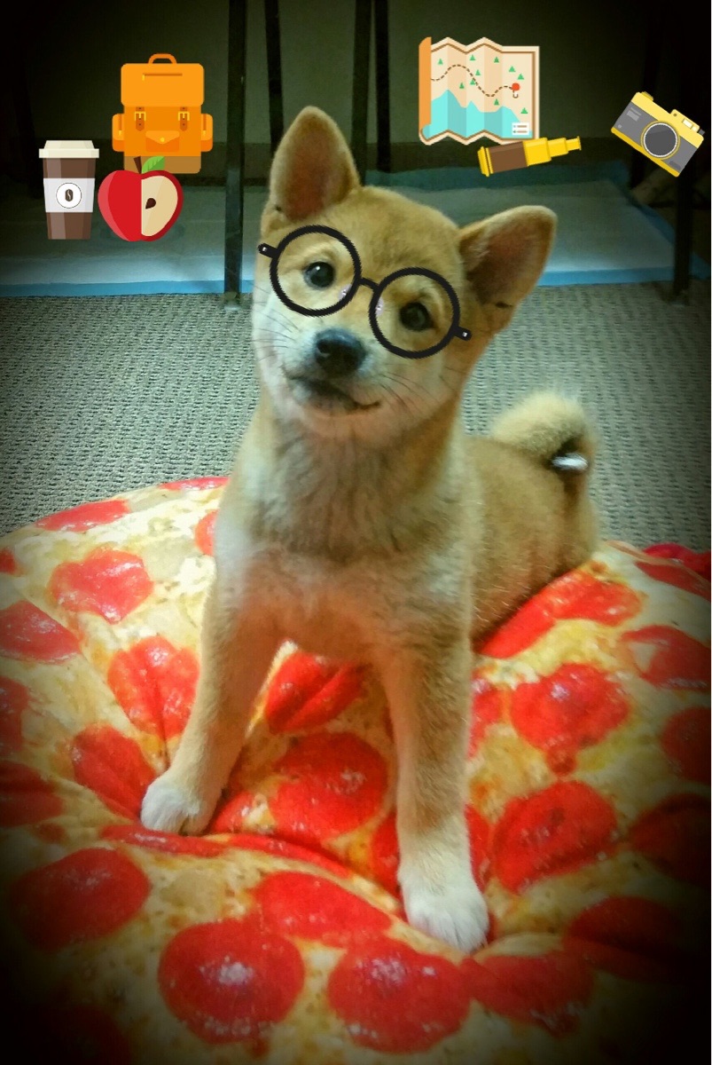 Palmer成长之路备受外界期待