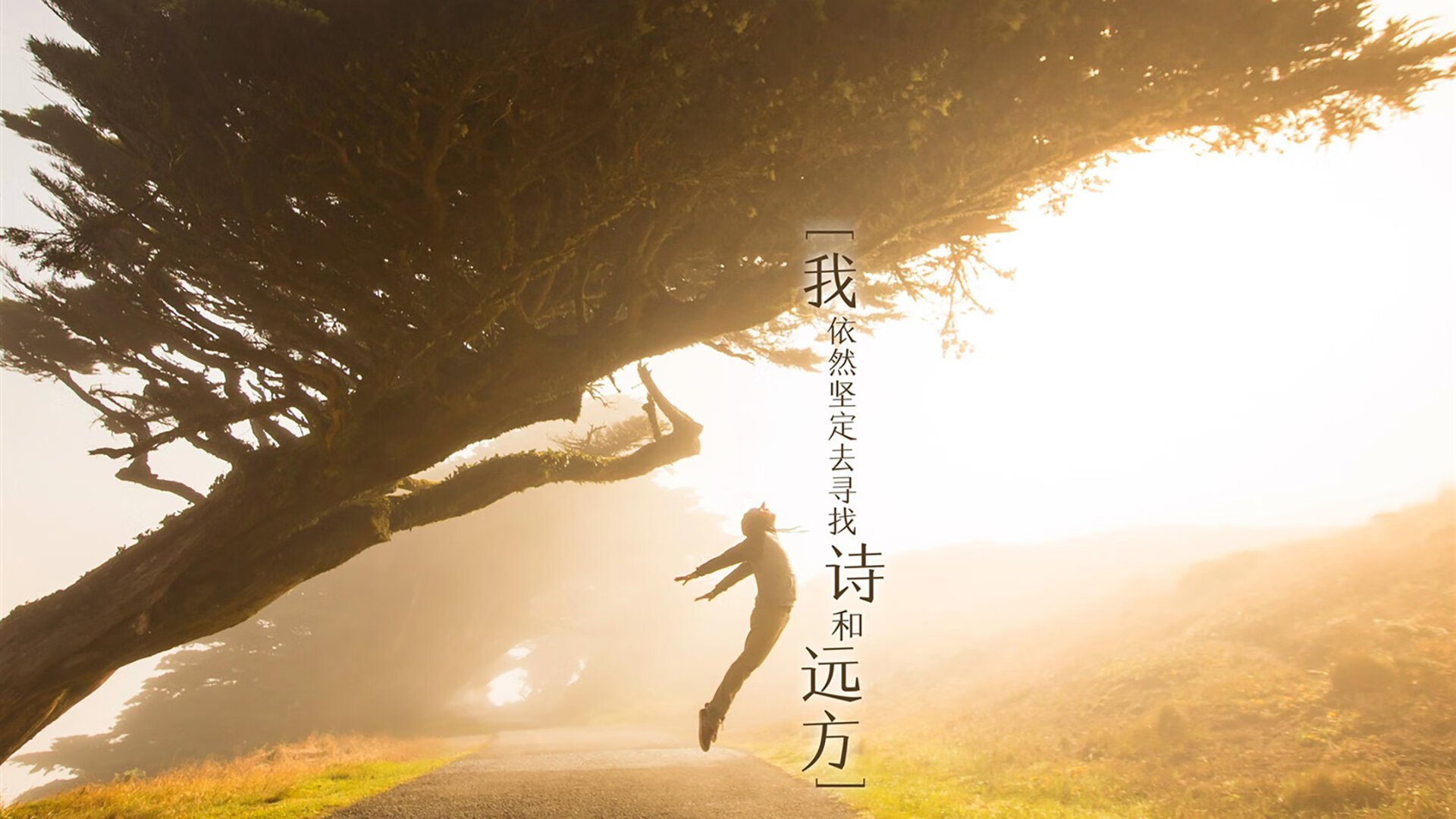 拜仁慕尼黑主场1-1战平勒沃库森,错失三分,拜仁慕尼黑vs勒沃库森比分预测