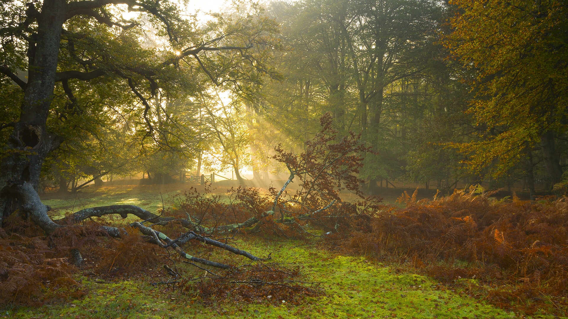 日本队成功晋级亚洲杯淘汰赛，日本亚洲杯比赛