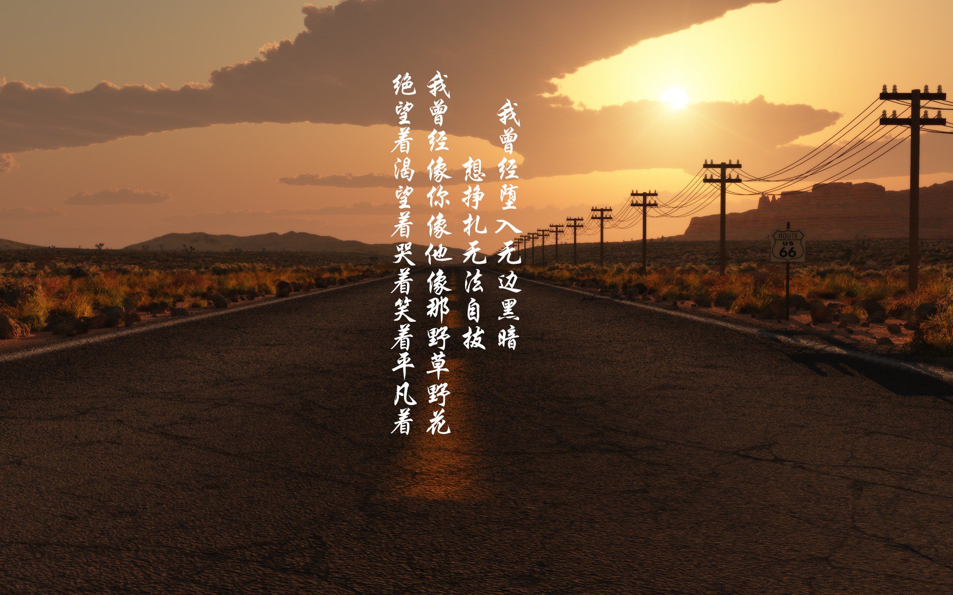 四国蝶泳中段划水效率图首次曝光，蝶泳国际比赛视频