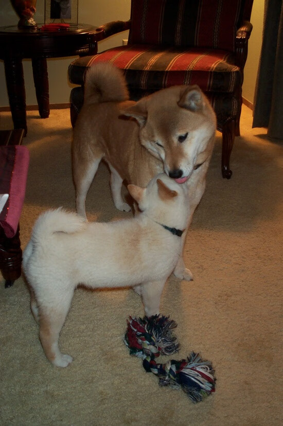 体育场馆安全设施完善，体育场馆的安全问题