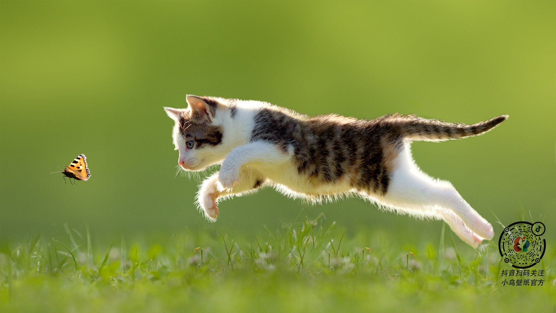 CBA球队设立内部评估体系提高训练针对性,cba组建球队