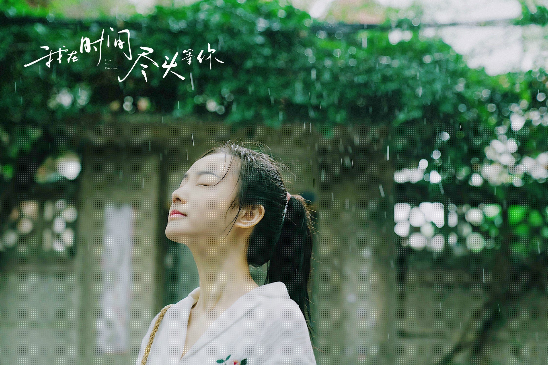 “诺克·达维德·彼得森：南非橄榄球新一代领军人物”