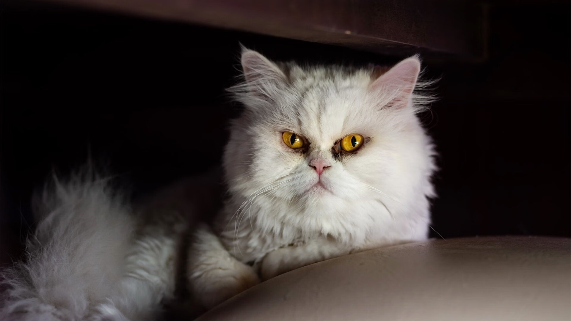 爱游戏官方网站-中超俱乐部开始使用AI分析球员状态和比赛数据，中超球员数据统计