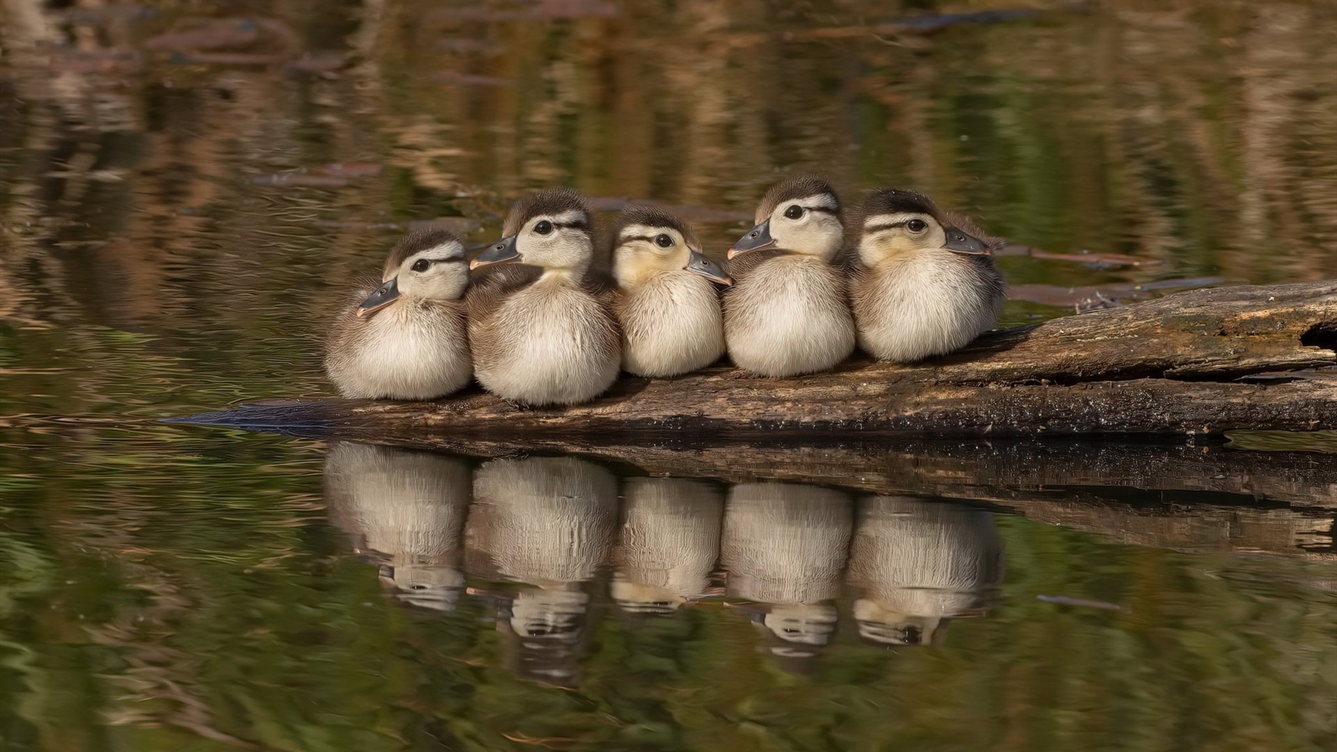 校园活动组织创新，大学校园活动方案创新创意