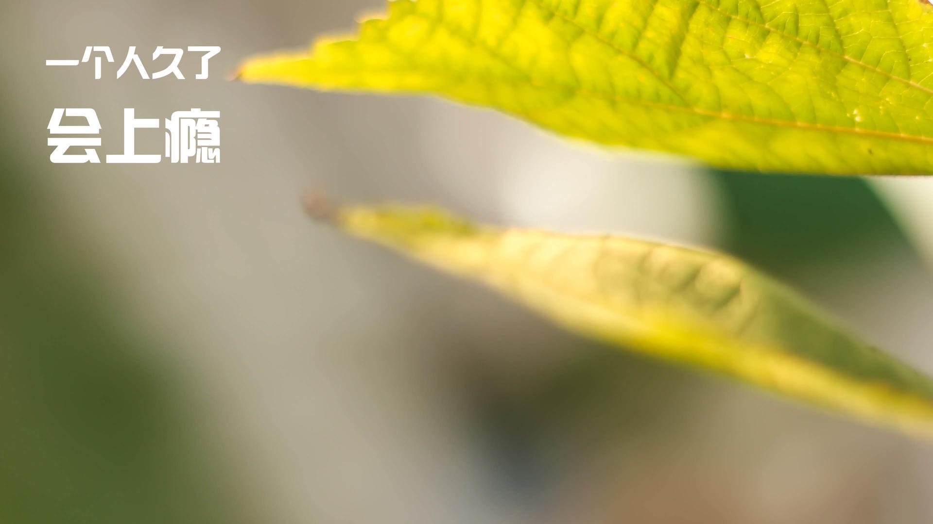 爱游戏中国官方登录入口网站-场上多次组织高质量配合前场冲击力明显加强创造多次破门良机