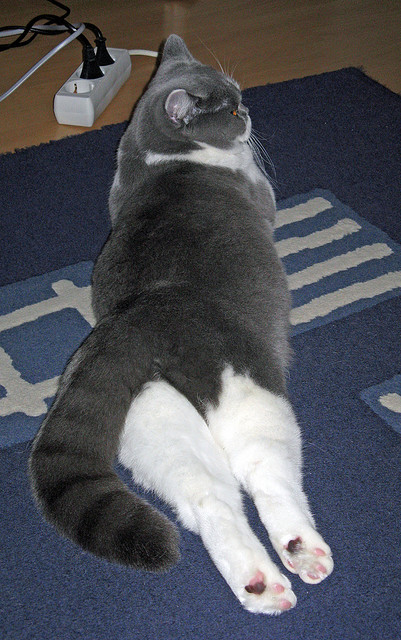 西甲“榜首之争”:巴萨与皇马的焦点对决