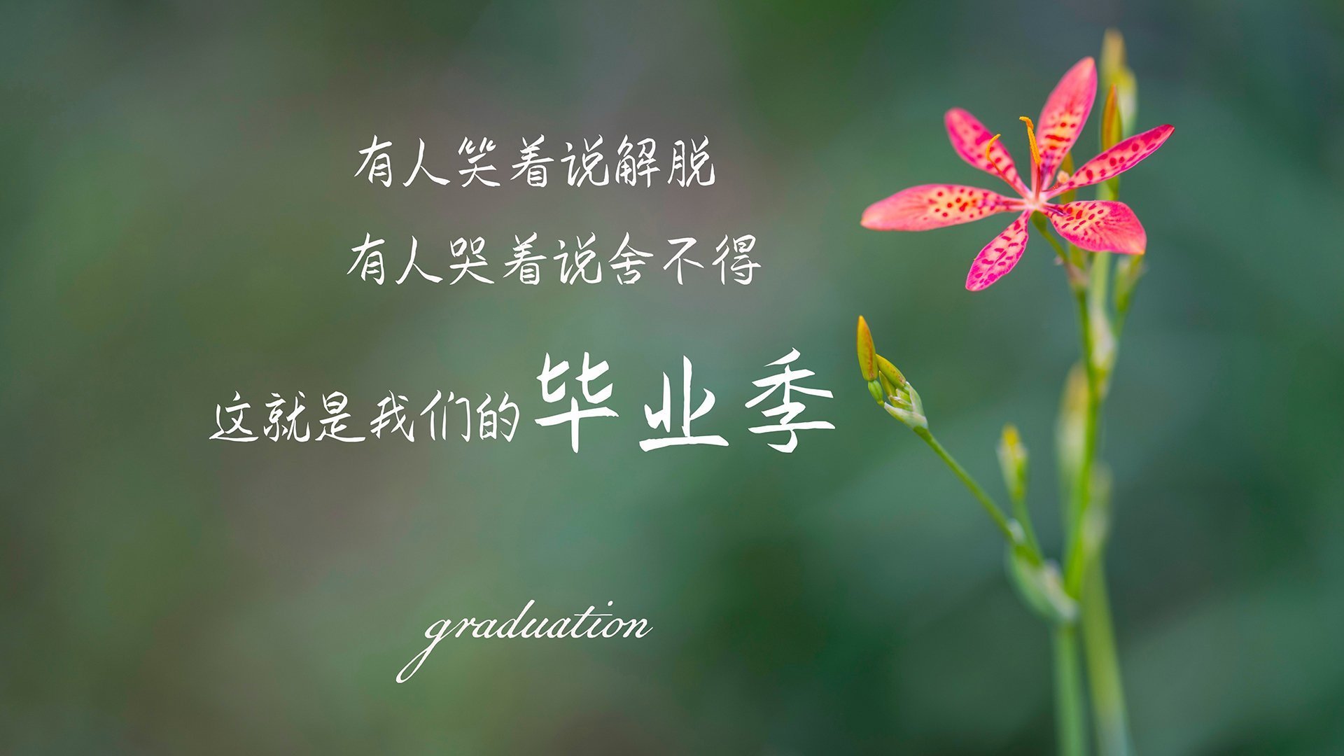 AYX GAME-村超组织规范化逐步建立本地裁判体系