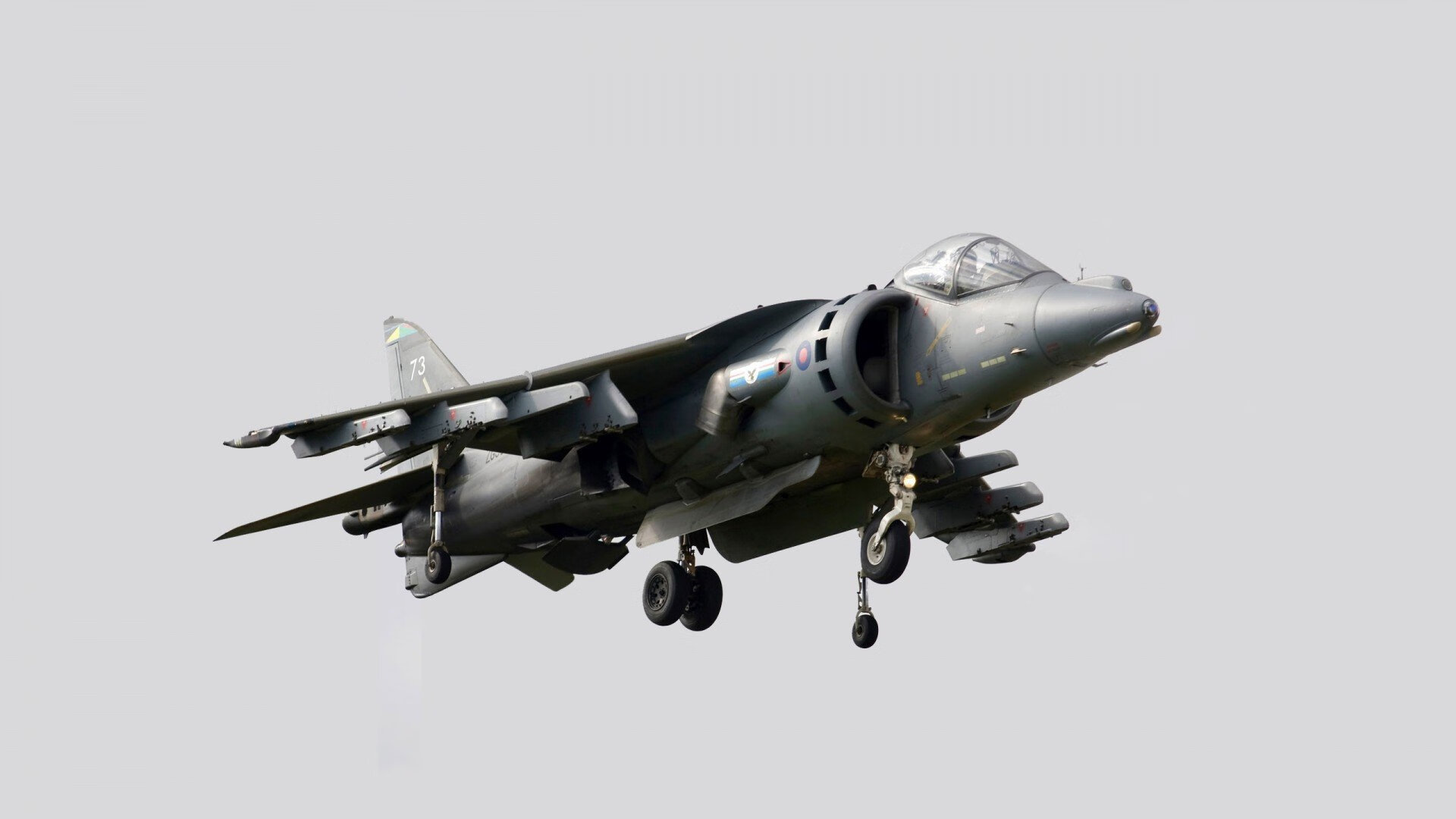 爱游戏中国官方登录入口网站-澳大利亚袋鼠队主帅：如何带领球队赢得每场比赛的关键，袋鼠澳大利亚度百科