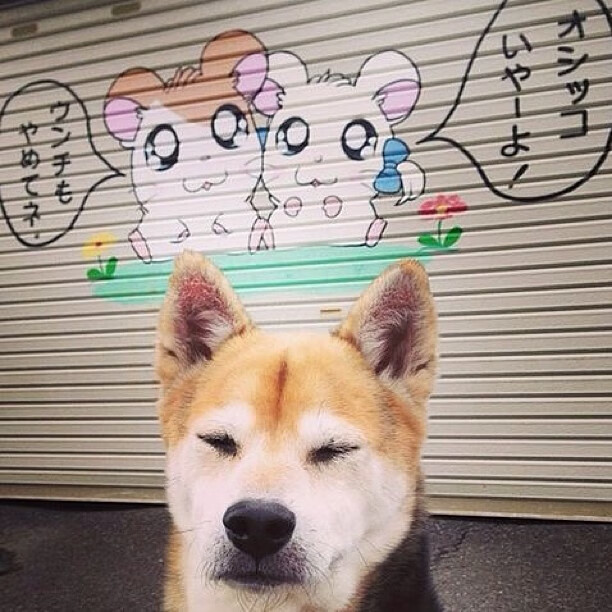 爱游戏app下载-皮特·斯图斯的关键防守让南非羚羊队保持领先