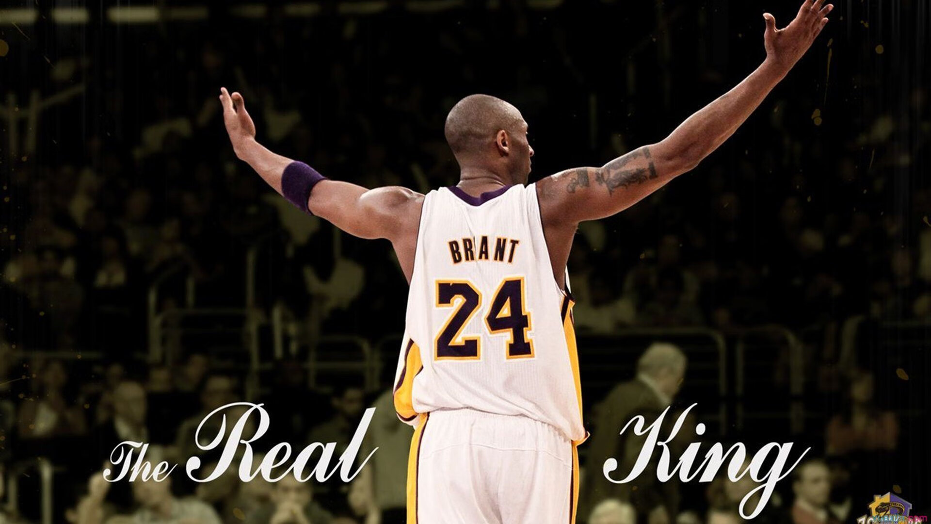 _全民运动日：每个人都可以参与的趣味赛_，全民做运动